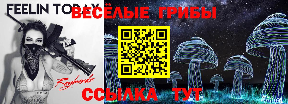 Галлюциногенные грибы ЛСД Йошкар-Ола